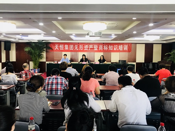 北京天恒置业集团无形资产暨商标知识培训